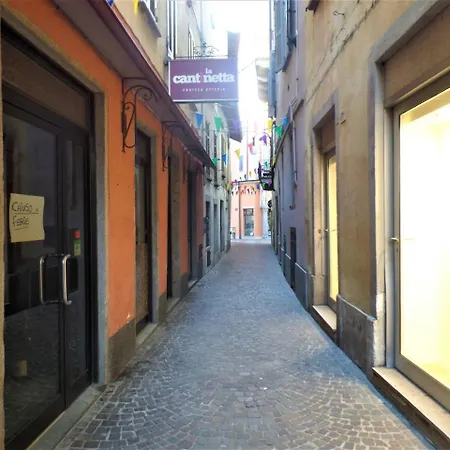 La Coccinella *